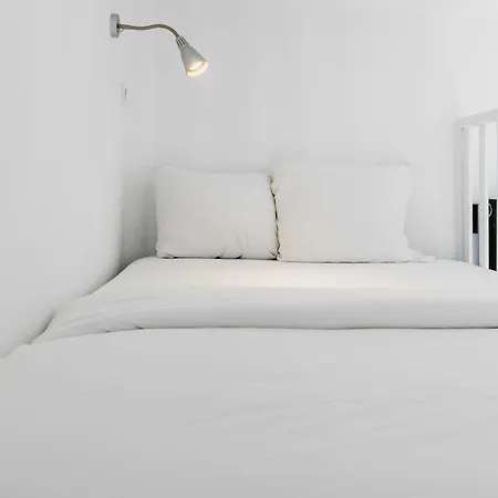 Delicate Bathed In Sunlight *